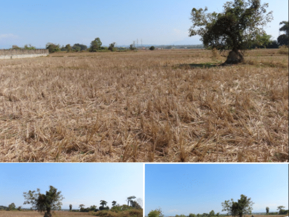 6476-Opportunity Knocks: Prime 2,891m² Land in Growing Phonhong District.