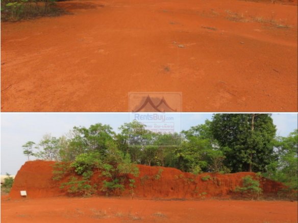 6501-Specialized Agricultural land Venture with Value Addition: A Sale Strategic Framework.
