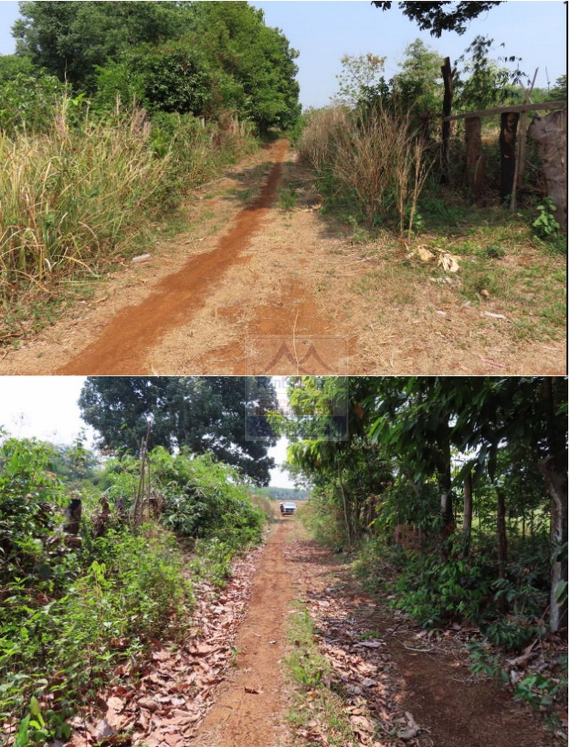 Landsale06 6475- Grand Opportunity: Strategic Agricultural Land for Sale in Champasak Province.