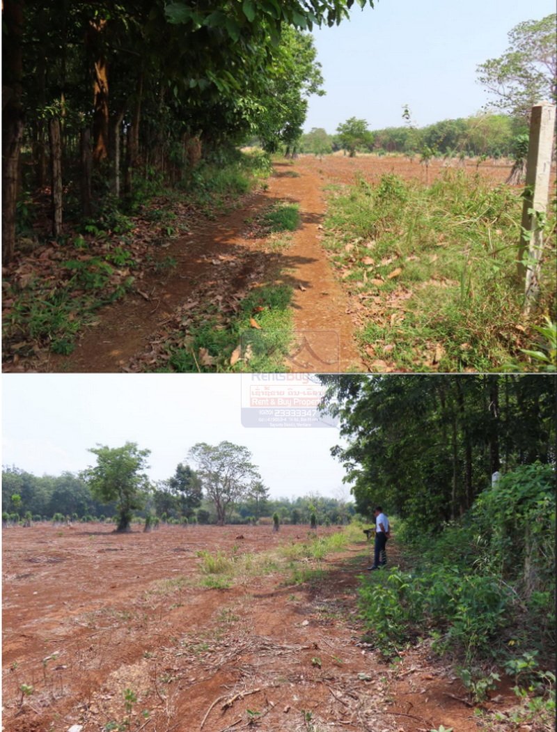 Landsale07 6475- Grand Opportunity: Strategic Agricultural Land for Sale in Champasak Province.