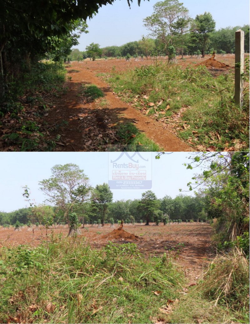 Landsale08 6475- Grand Opportunity: Strategic Agricultural Land for Sale in Champasak Province.
