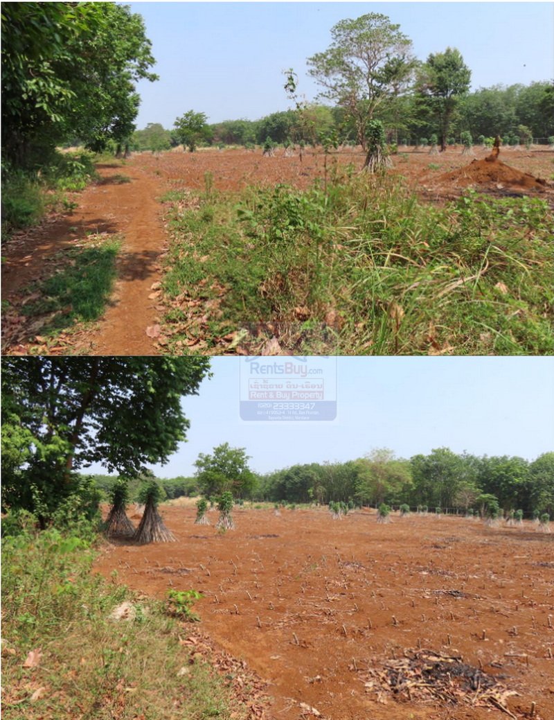 Landsale09 6475- Grand Opportunity: Strategic Agricultural Land for Sale in Champasak Province.