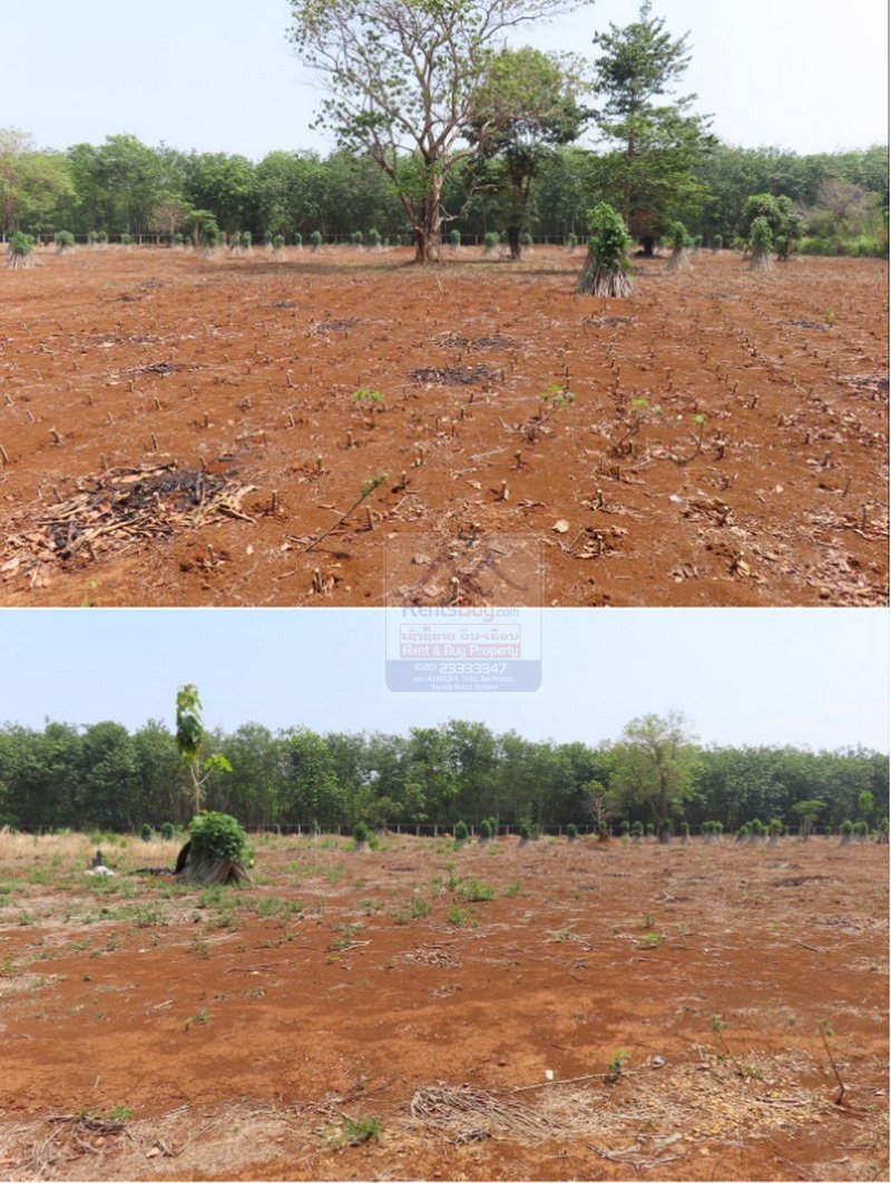 Landsale10 6475- Grand Opportunity: Strategic Agricultural Land for Sale in Champasak Province.