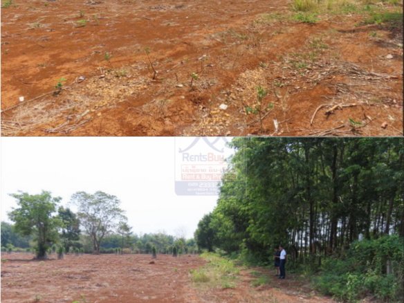 6475- Grand Opportunity: Strategic Agricultural Land for Sale in Champasak Province.