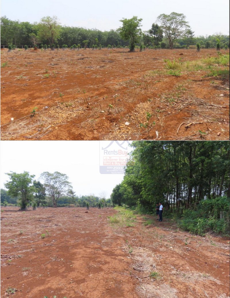 Landsale11 6475- Grand Opportunity: Strategic Agricultural Land for Sale in Champasak Province.