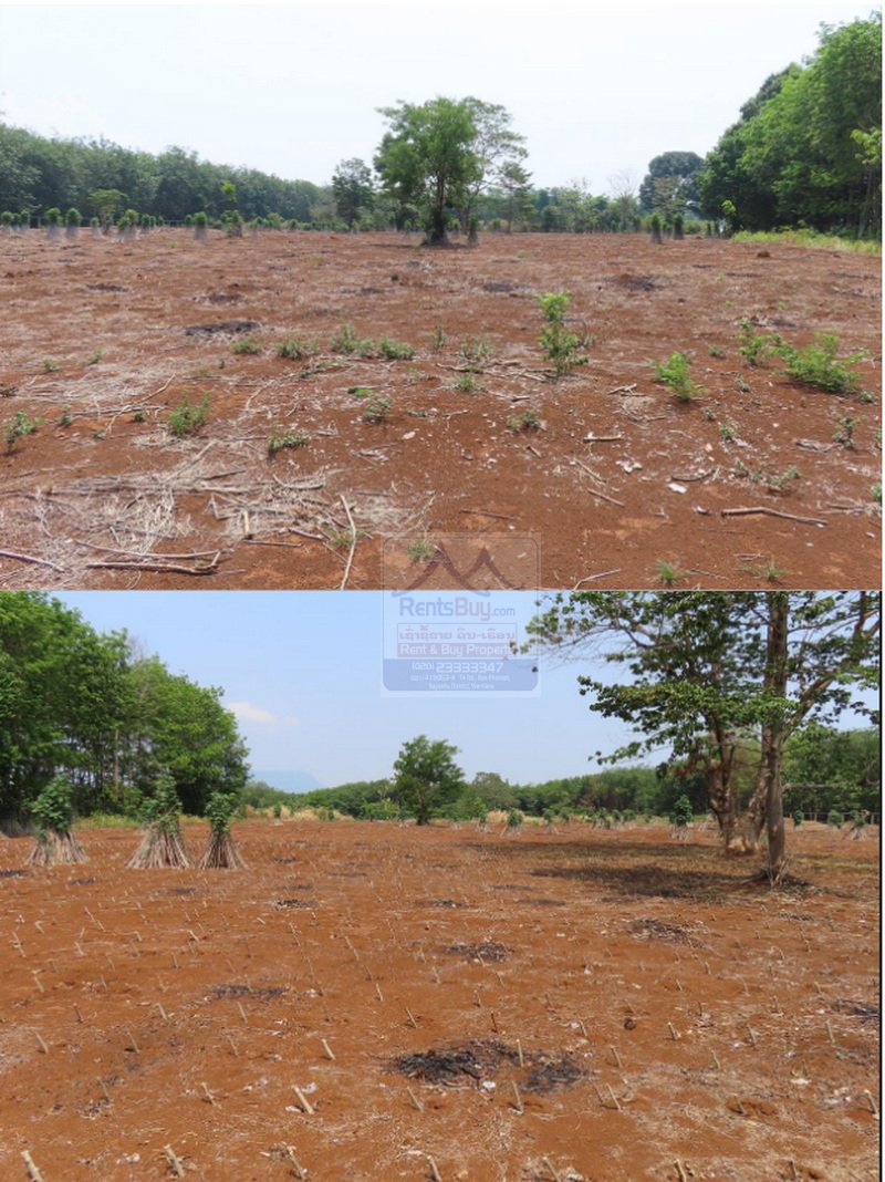 Landsale12 6475- Grand Opportunity: Strategic Agricultural Land for Sale in Champasak Province.