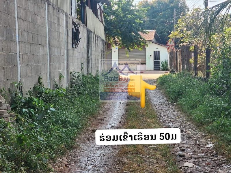 800