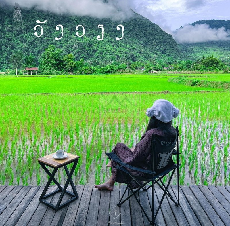 800