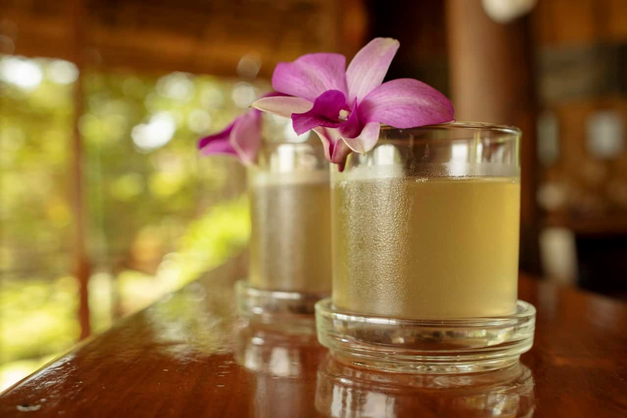 kingfisher-reception-4 6543-Eco Lodge Business for Sale in Laos Turnkey Investment in Nature, Culture & Sustainability