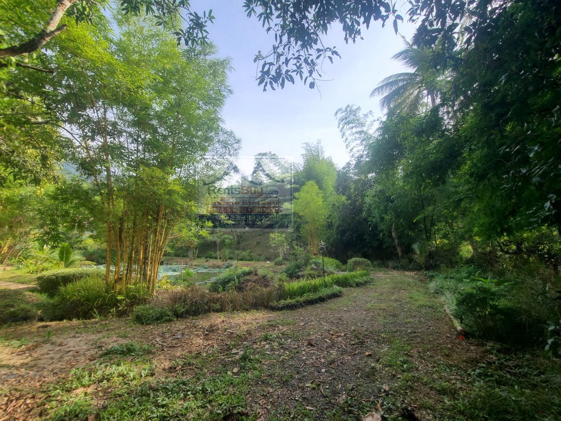6574-Golden Investment Opportunity in Luangphabang – Strategic 3,370 m² Plot Near Road 13
