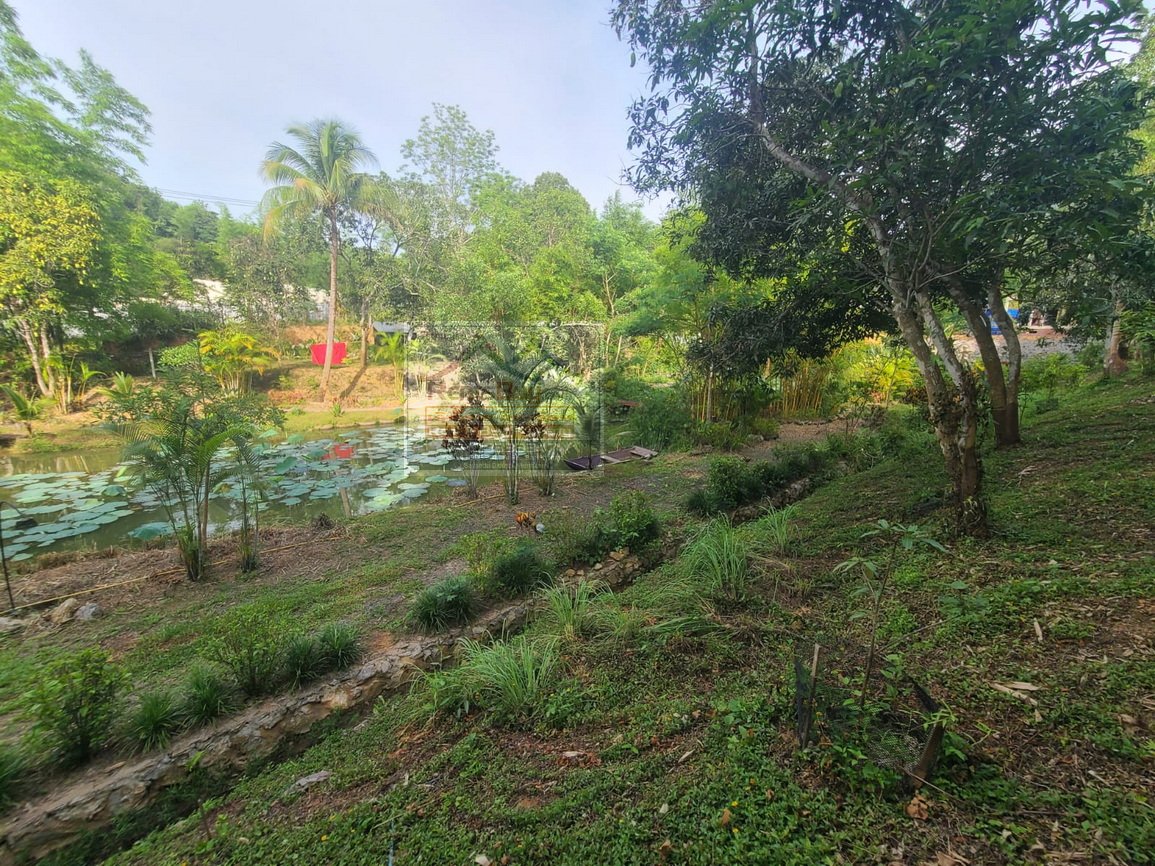6574-Golden Investment Opportunity in Luangphabang – Strategic 3,370 m² Plot Near Road 13