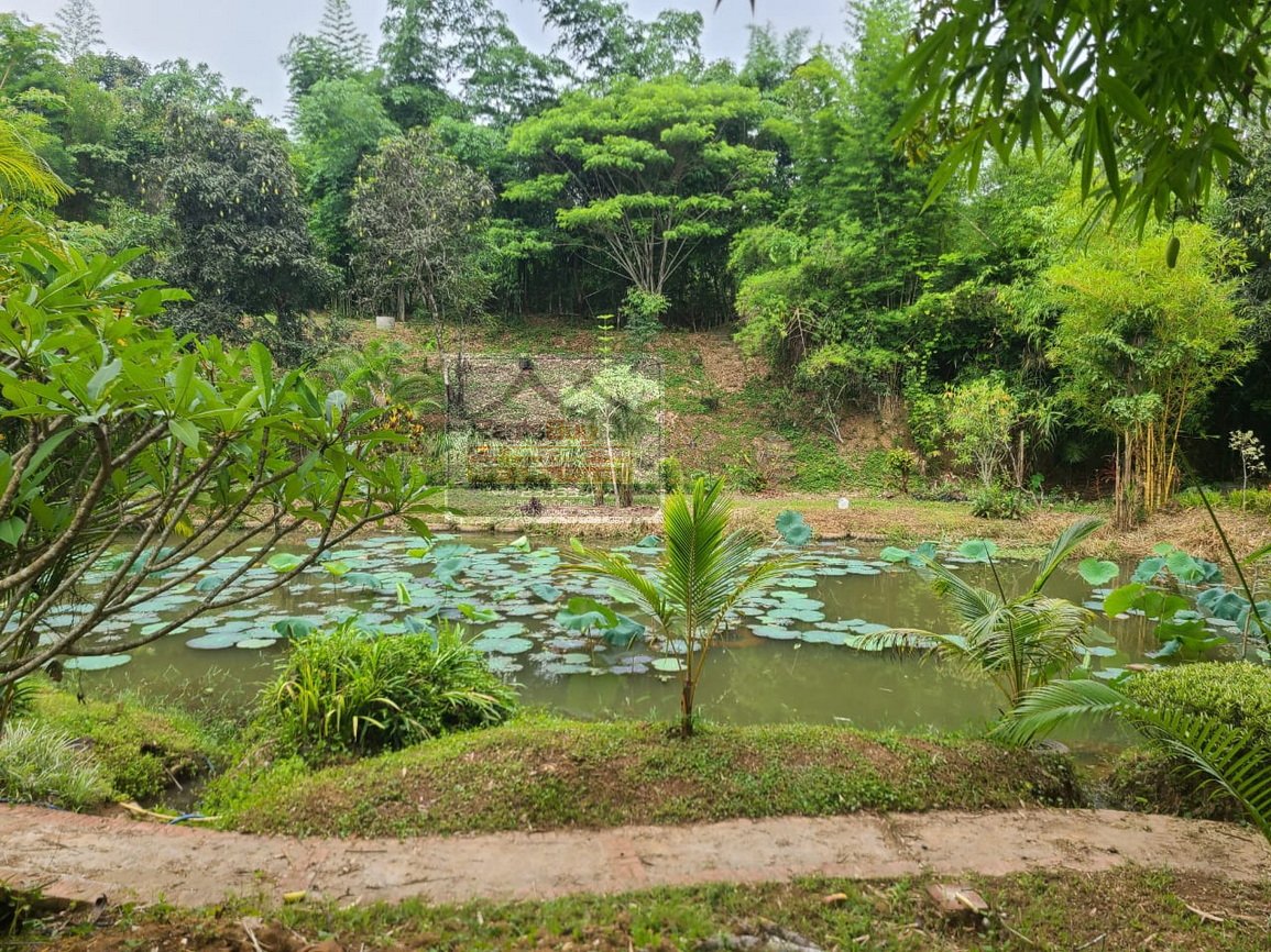 6574-Golden Investment Opportunity in Luangphabang – Strategic 3,370 m² Plot Near Road 13