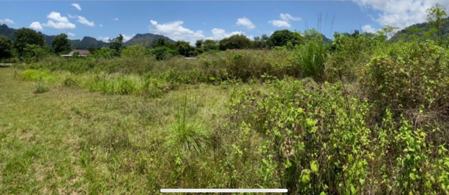 6607-Prime Investment Land in Vang Vieng – 2,440m² at Just $40/m²