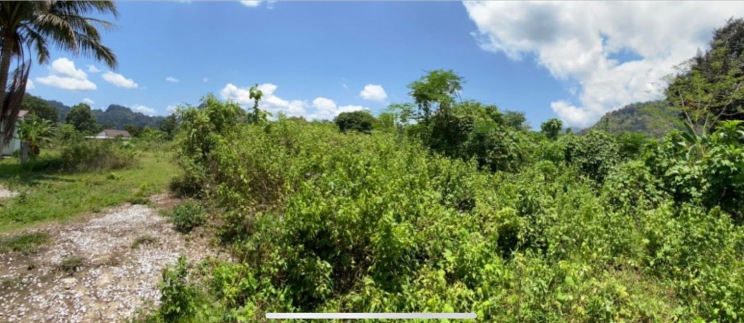 6607-Prime Investment Land in Vang Vieng – 2,440m² at Just $40/m²