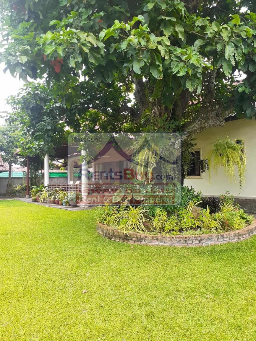 6713-Modern 5-Bedroom Residence for Rent in a Quiet, Well-Connected Neighborhood