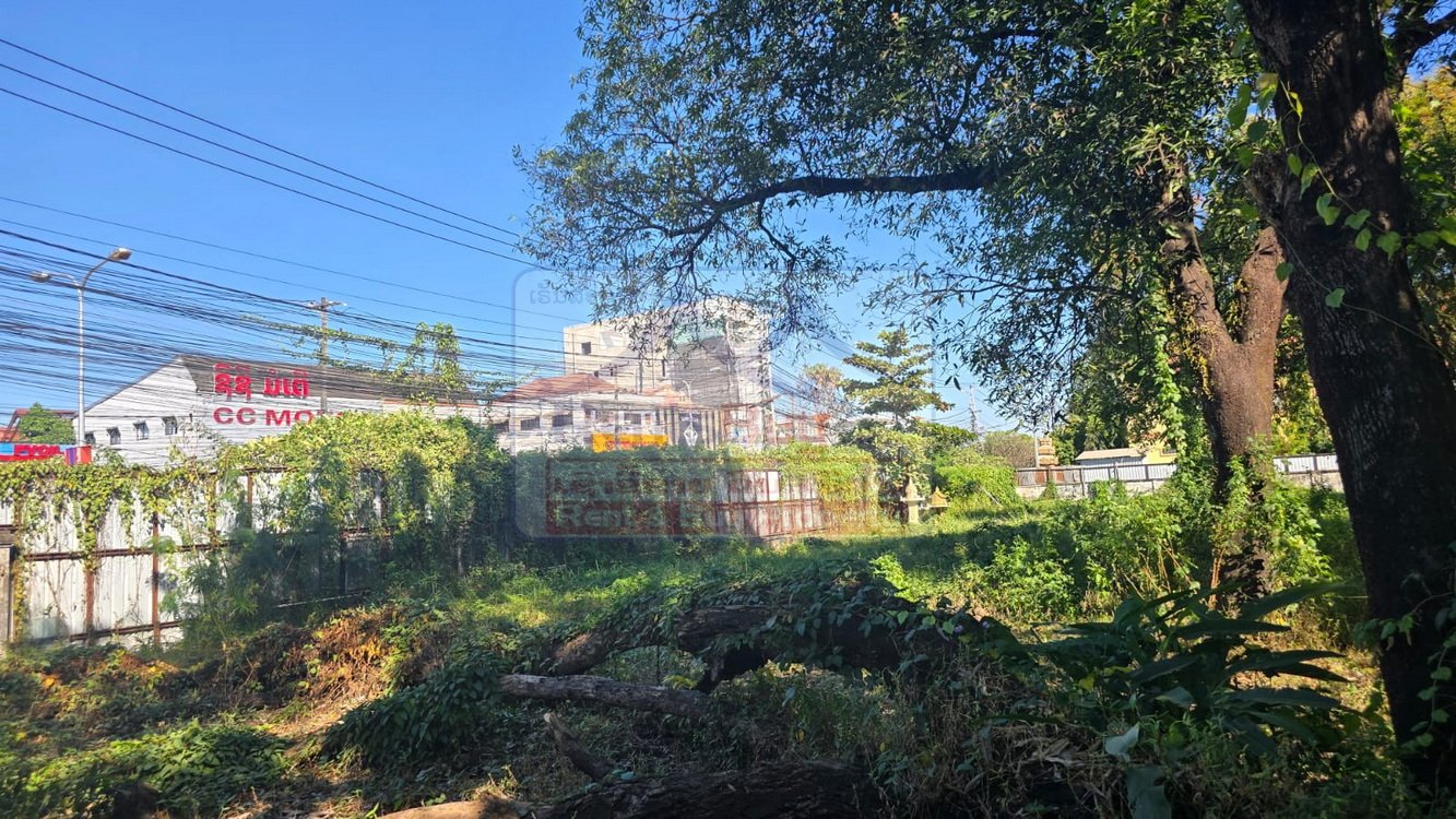landforsale05 Exclusive Mekong Riverside Land for Sale: 6,234 sqm Prime Development Plot