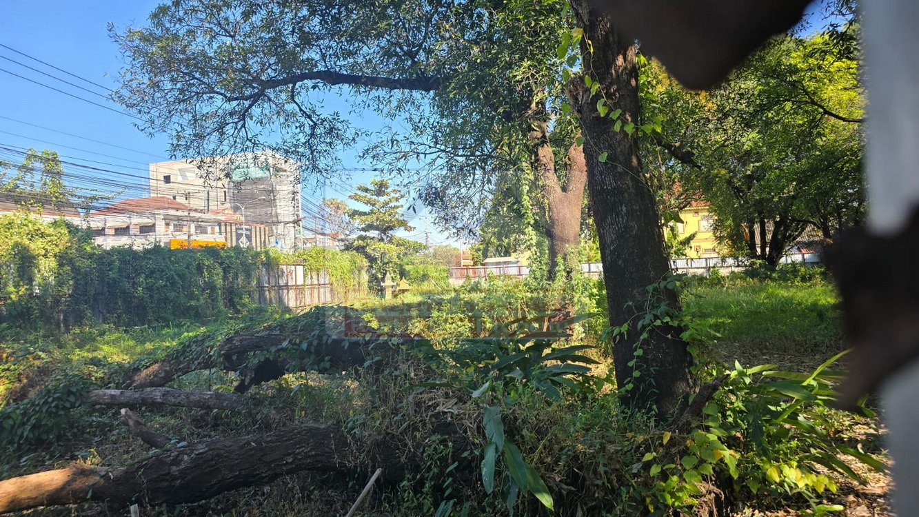 landforsale06 Exclusive Mekong Riverside Land for Sale: 6,234 sqm Prime Development Plot