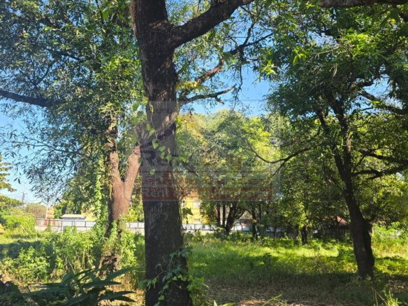Exclusive Mekong Riverside Land for Sale: 6,234 sqm Prime Development Plot