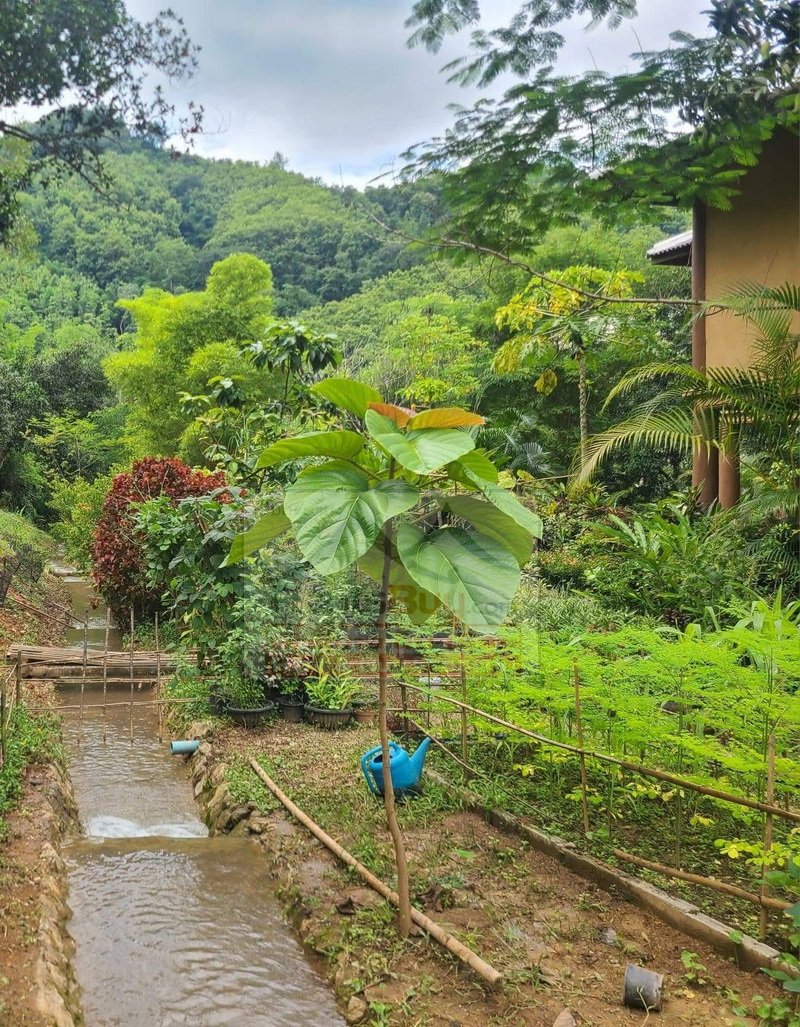 6943-The Jewel of Luang Prabang: Exquisite 3-BR Holiday Home on Expansive Grounds