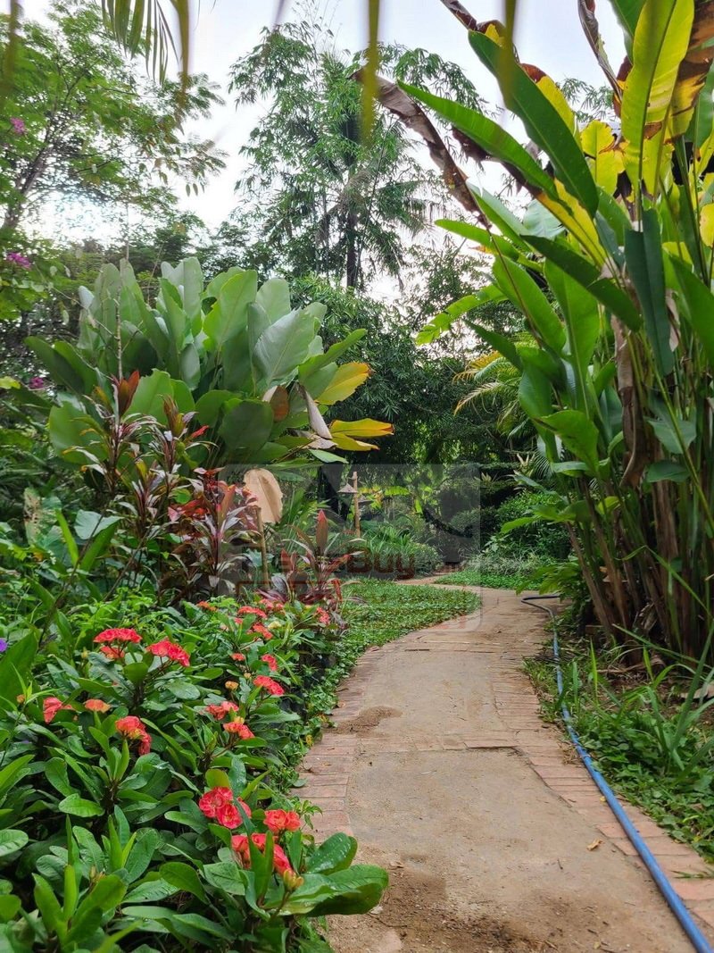 6943-The Jewel of Luang Prabang: Exquisite 3-BR Holiday Home on Expansive Grounds