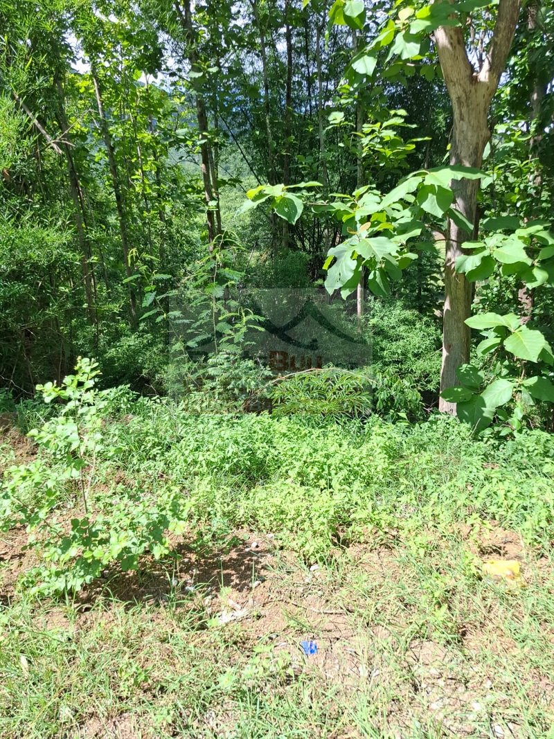 landforsale04 6880-Prime 1.5-Hectare Development Site in Luang Prabang: A Gateway to Luxury & Heritage
