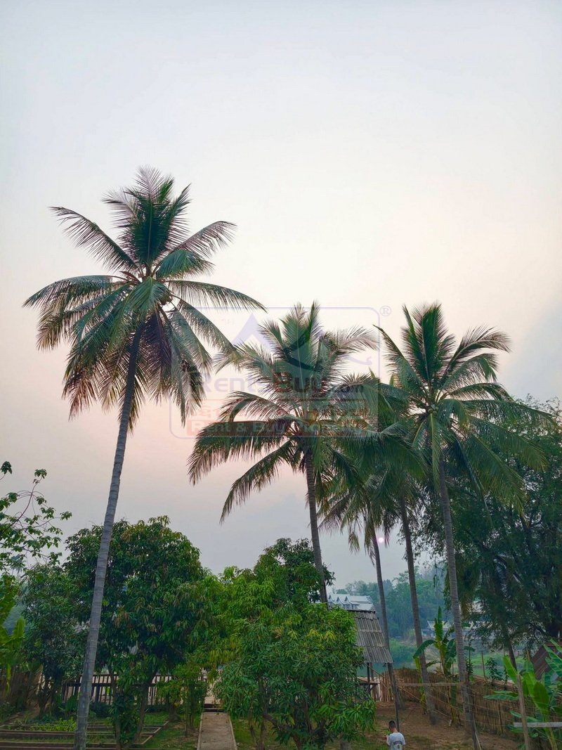 6993-17Room Operational Hotel for Lease in Central Luang Prabang – Turnkey Investment Opportunity
