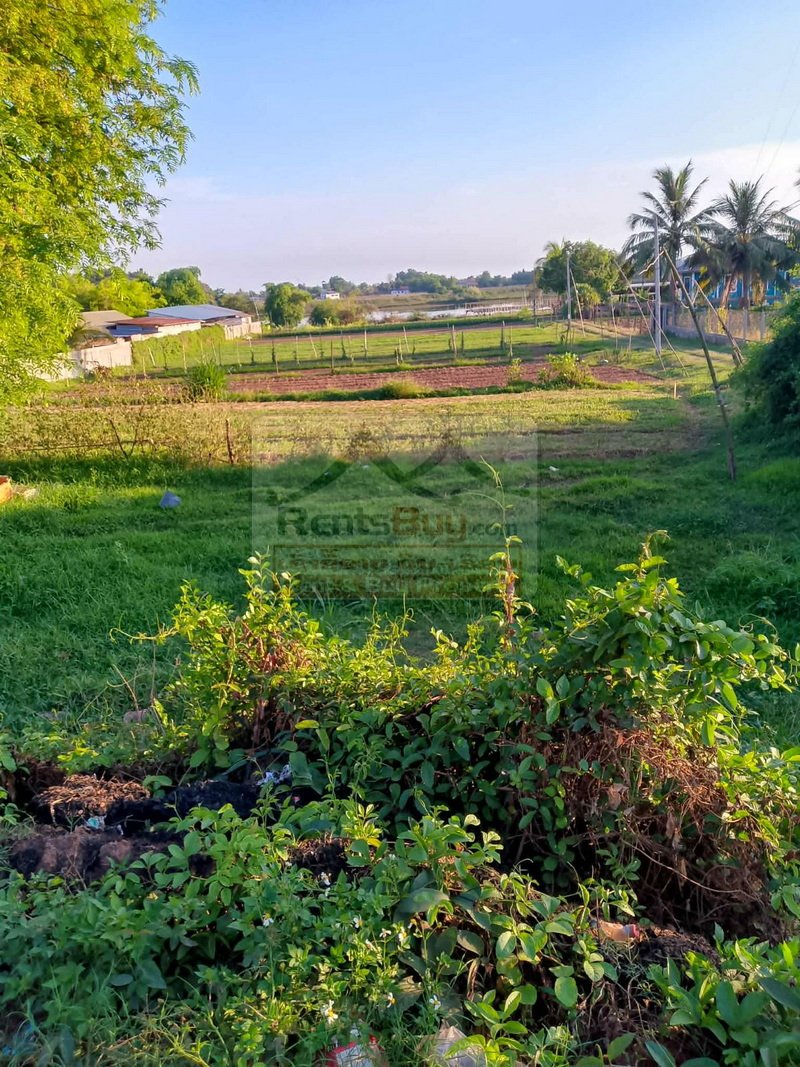7027-Prime Development Land for Sale in Hadsaifong District, Vientiane Capital – 4,485 Sqm at an Exceptional Value