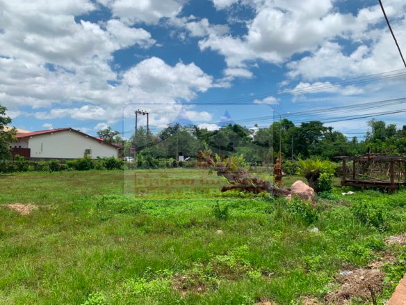 7066-Prime 3,282 SQ.M Roadside Land for Sale in Nonsaad, Vientiane Capital – Excellent Investment & Development Opportunity