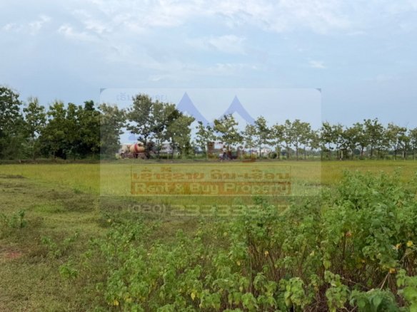 7225-Large Development Land for Sale on 450 Years Road, Vientiane