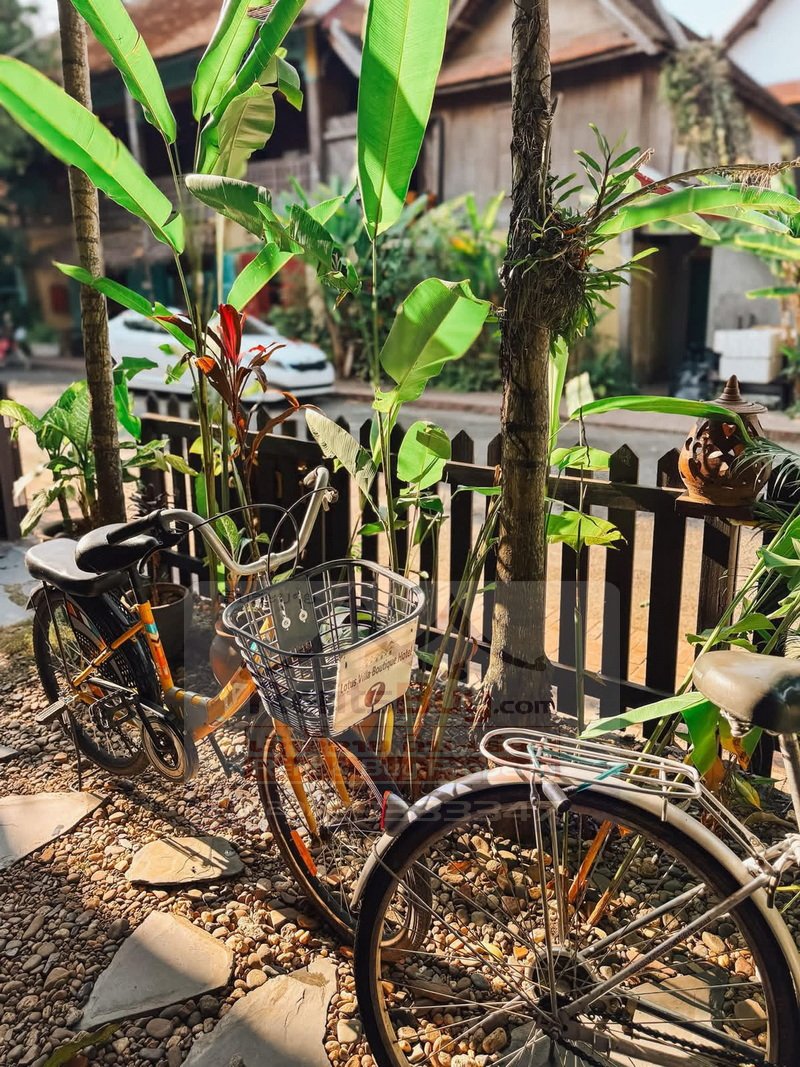 hotelforrent11 7252-Central Luang Prabang 16-Room Hotel for Rent – Ideal for Hospitality & Tourism Business