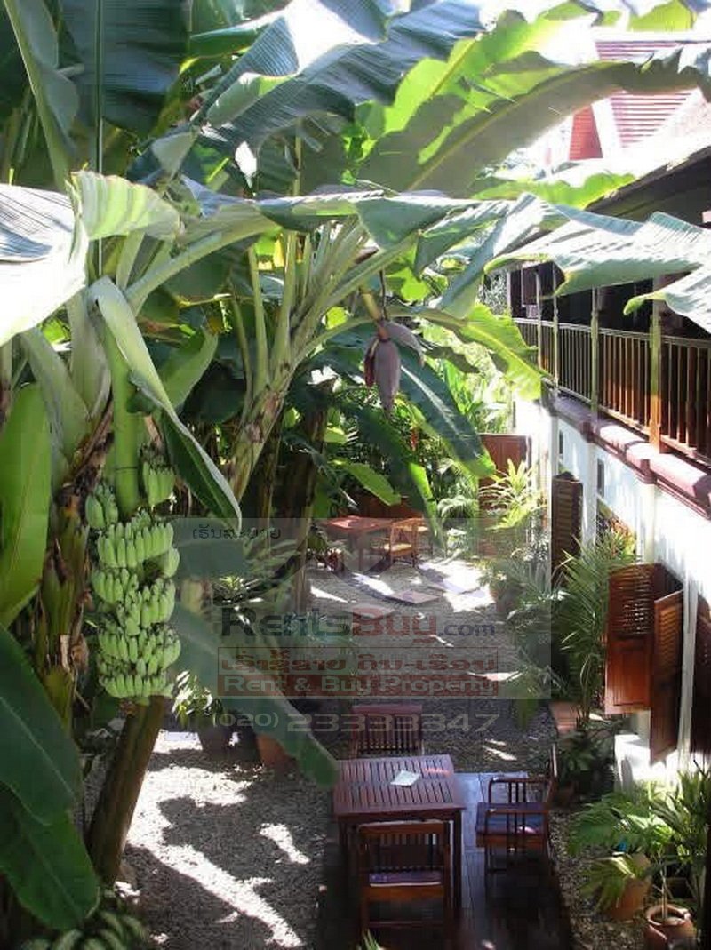 hotelforrent15 7252-Central Luang Prabang 16-Room Hotel for Rent – Ideal for Hospitality & Tourism Business