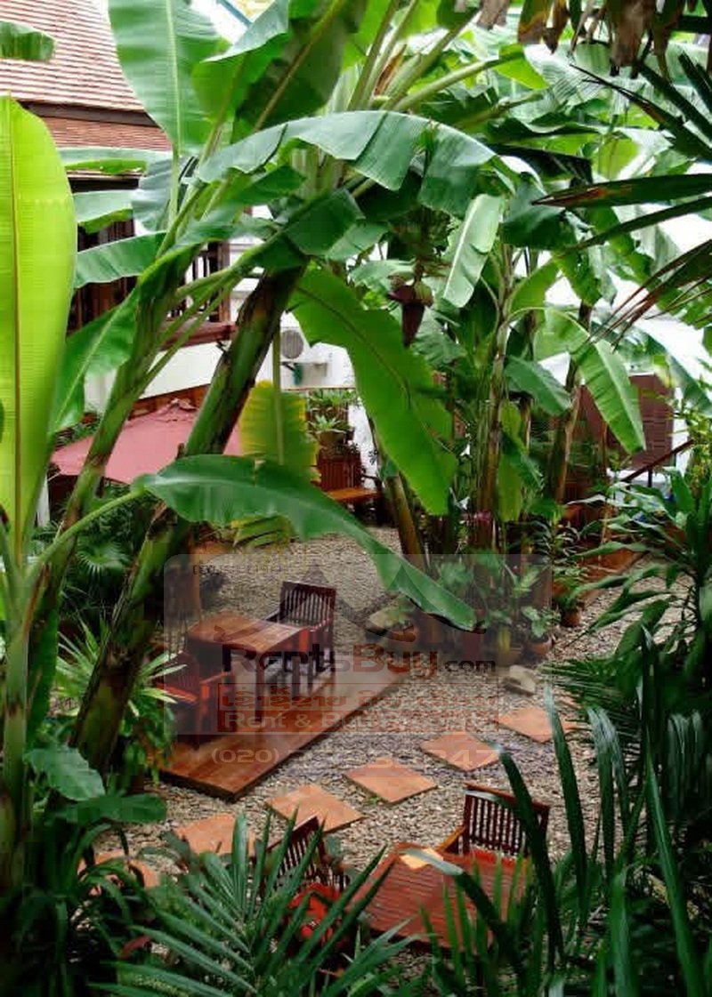 hotelforrent18 7252-Central Luang Prabang 16-Room Hotel for Rent – Ideal for Hospitality & Tourism Business
