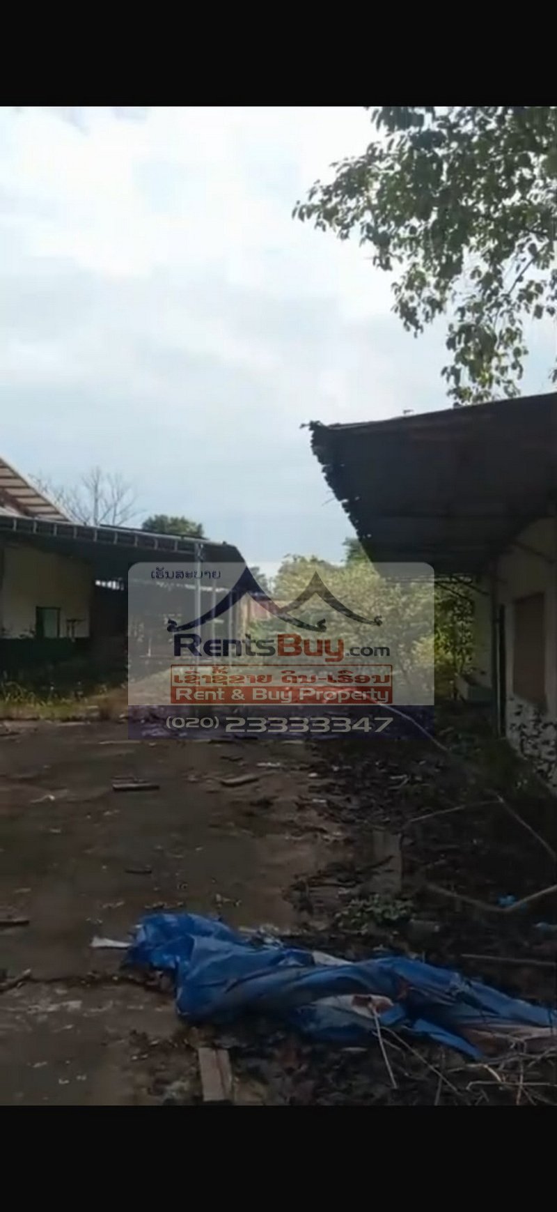 7278-Industrial Warehouse and Former Plywood Factory for Rent in Pakxan, Laos – 5,040 sqm Warehouse on 20,000 sqm Land